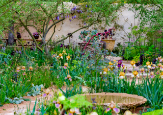 What’s Trending in Garden Design This Summer?